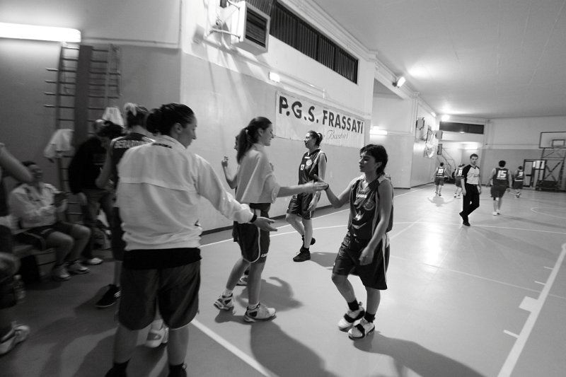 Basket 443067
